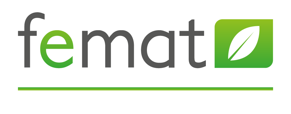 logo Femat