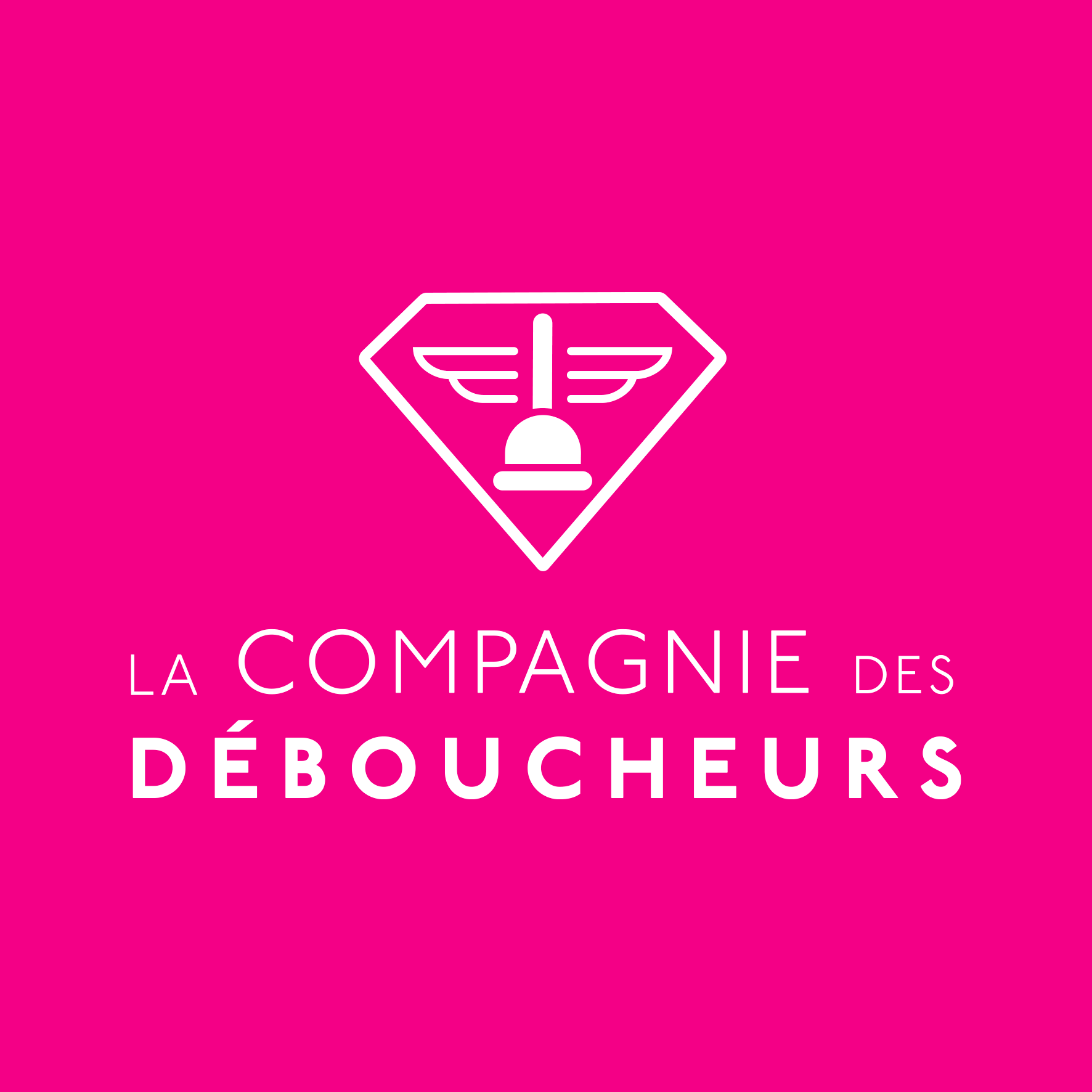 logo COMPAGNIE DES DEBOUCHEURS