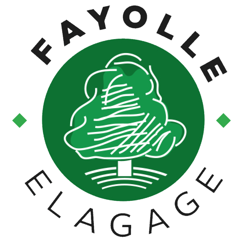 logo FAYOLLE ÉLAGAGE