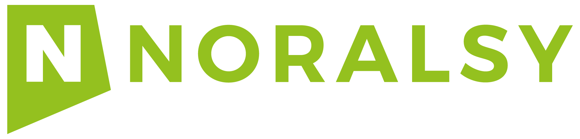 logo NORALSY