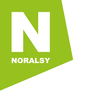 logo NORALSY